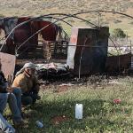 مخطط "حي شامي" يهدد بتهجير البدو شرق القدس وسط تصعيد استيطاني واسع