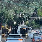 بلدية الناصرة تحذر من انتشار بعوض حامل لفيروس حمى غرب النيل وتدعو لإجراءات وقائية