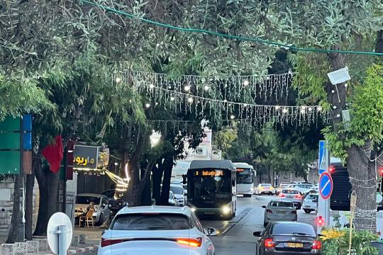 بلدية الناصرة تحذر من انتشار بعوض حامل لفيروس حمى غرب النيل وتدعو لإجراءات وقائية