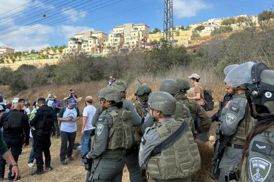 الجيش الإسرائيلي يوقف 80 ناشطًا أجنبيًا ومتطوعين خلال قطف الزيتون قرب بيت لحم