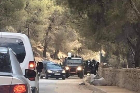 قوات الاحتلال تهاجم متنزهين في برك سليمان جنوب بيت لحم وتُصيب عدداً منهم بالاختناق