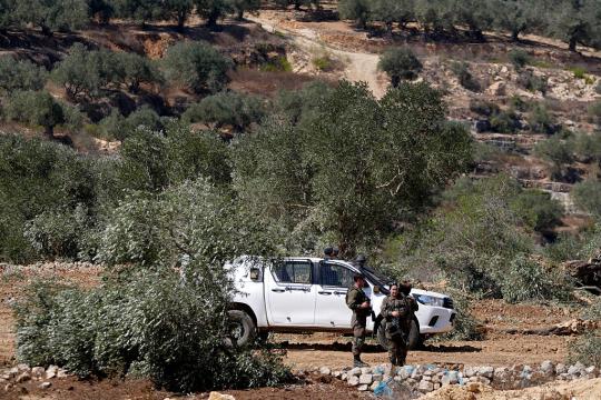 مستوطنون يهاجمون مزارعي الزيتون شرق قلقيلية ويجبرونهم على مغادرة أراضيهم