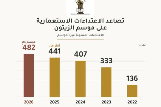 اعتداءات موسم الزيتون في فلسطين تتصاعد.. 482 هجوماً منذ بداية موسم 2026