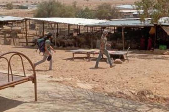 مستوطنون يجبرون عائلة بدوية على النزوح غرب العوجا شمال أريحا