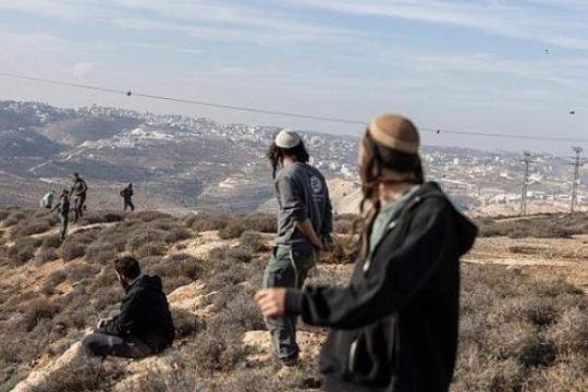 إصابة طفل وحالات اختناق في هجوم للمستوطنين على مسافر يطا جنوب الخليل