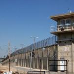 رفض استئناف الاعتقال الإداري لـ43 أسيرًا في سجون الاحتلال