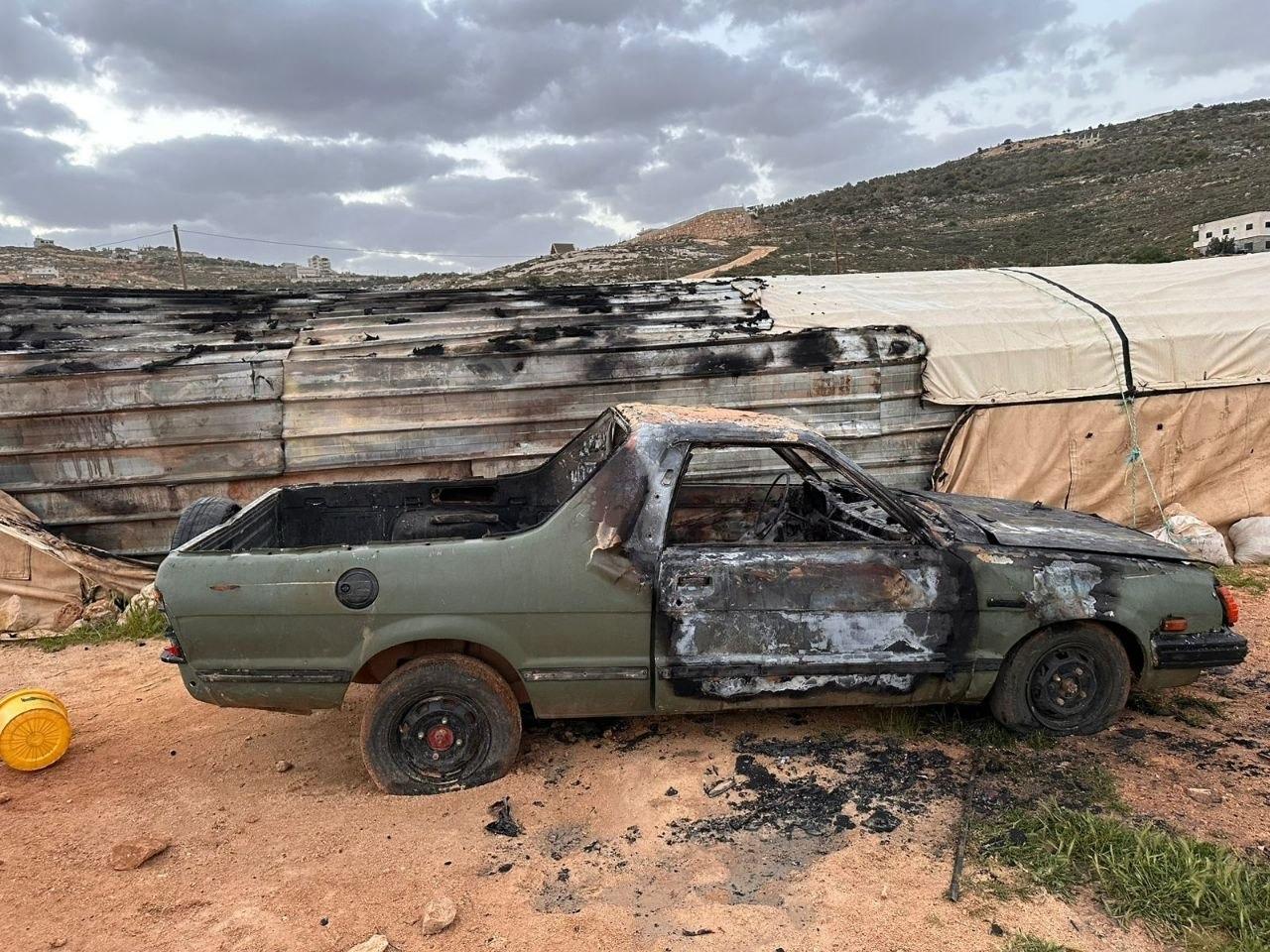 اعتداء بالضرب على مواطنين ومحاولة سرقة أغنام جنوب نابلس