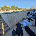 مستوطنون يقتحمون الأقصى في خامس أيام "الأنوار العبري" ويؤدون السجود الملحمي