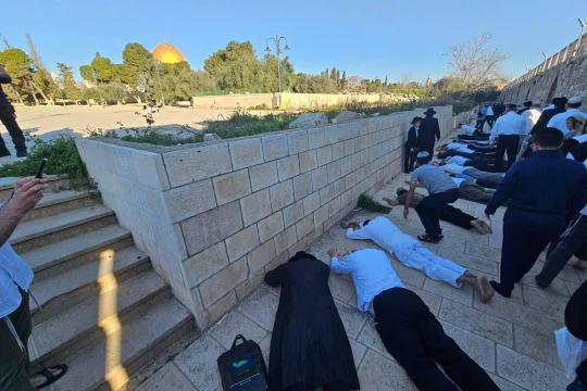 مستوطنون يقتحمون الأقصى في خامس أيام "الأنوار العبري" ويؤدون السجود الملحمي