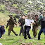 تصاعد اعتداءات الاحتلال والمستوطنين في طوباس والخليل ورام الله