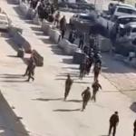 إصابة شاب واعتقالات خلال اقتحامات قوات الاحتلال في القدس ومخيم قلنديا