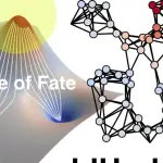 باحثون يطورون خوارزمية ddHodge لإعادة بناء ديناميكيات الخلايا بدقة عالية
