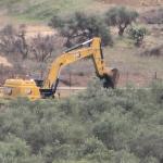 الاحتلال يقتلع 400 شجرة زيتون ويجرف 35 دونمًا من أراضي بدرس غرب رام الله