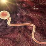 أطعمة تهدد خصوبة الرجال.. تحذيرات طبية من تأثير النظام الغذائي على الإنجاب