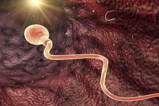 أطعمة تهدد خصوبة الرجال.. تحذيرات طبية من تأثير النظام الغذائي على الإنجاب