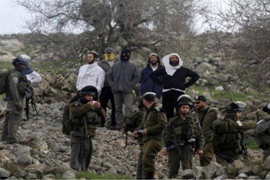 اقتحامات للمستوطنين في رام الله وجنين تستهدف مواقع أثرية وأراضي المواطنين