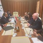 وزير الخارجية المصري يؤكد دعم بلاده الكامل لفلسطين ويدعو لتنفيذ المرحلة الثانية من اتفاق غزة