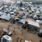 أونروا: الجرذان تهاجم أطفال غزة داخل الخيام وتحذيرات من انهيار صحي شامل