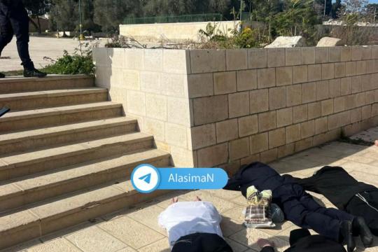 مستوطنون يقتحمون المسجد الأقصى ويؤدون طقوسًا تلمودية بحماية الاحتلال