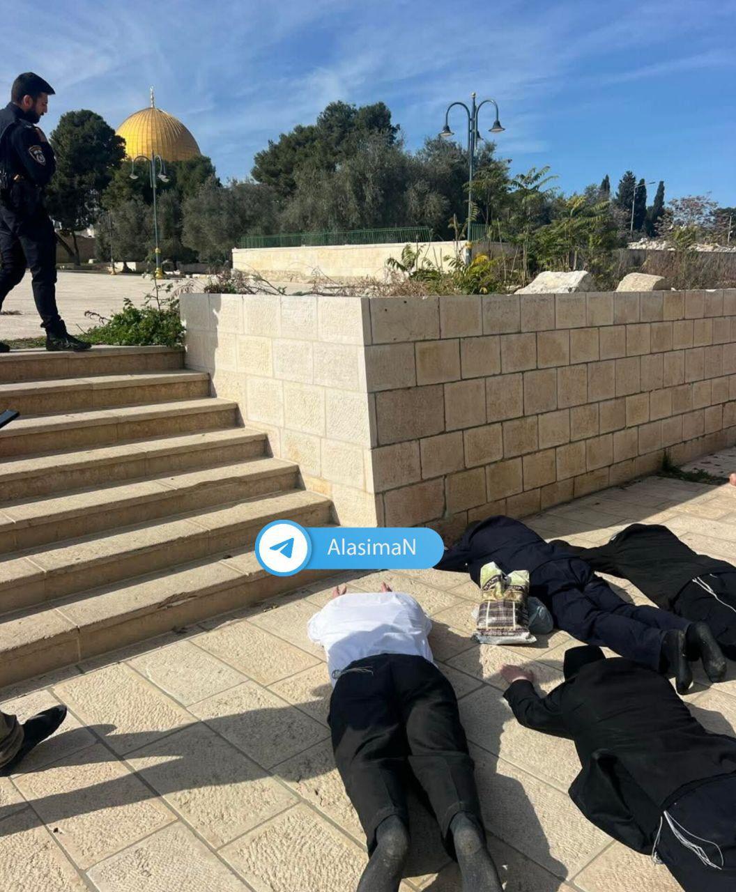 عشرات المستوطنين نفذوا جولات استفزازية داخل باحات الأقصى وسط تشديد أمني من قوات الاحتلال