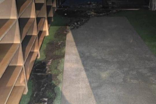 مجلس الإفتاء الأعلى يستنكر إحراق مسجد في نابلس وكتابة شعارات عنصرية