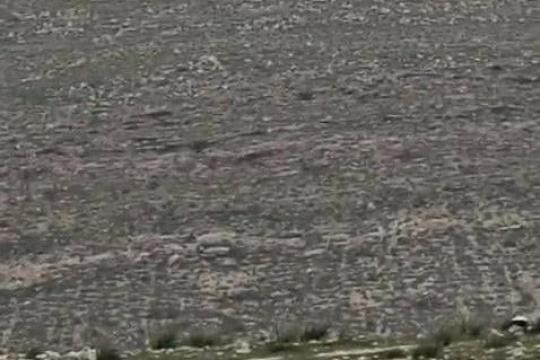 مستوطنون ينصبون خيمة استيطانية في أراضي قرية الرشايدة شرق بيت لحم
