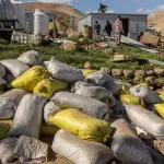 نزوح قسري يتوسع في الضفة الغربية: عائلات فلسطينية تغادر رأس عين العوجا تحت ضغط المستوطنين