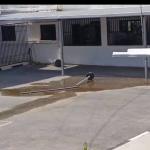 مستوطنون يهاجمون مدرسة بنات اللبن الشرقية ويخربون مرافقها جنوب نابلس