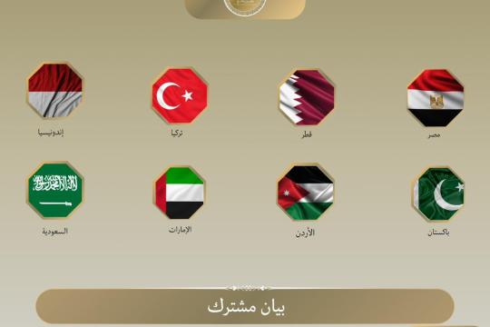 وزراء خارجية 8 دول عربية يدينون قانون الإعدام الإسرائيلي ويحضّون على منع تصعيد التوترات