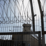 ارتفاع عدد الأسرى الشهداء… الزغاري: الحصيلة الحقيقية تتجاوز المئة وما أُعلن ليس نهائيًا