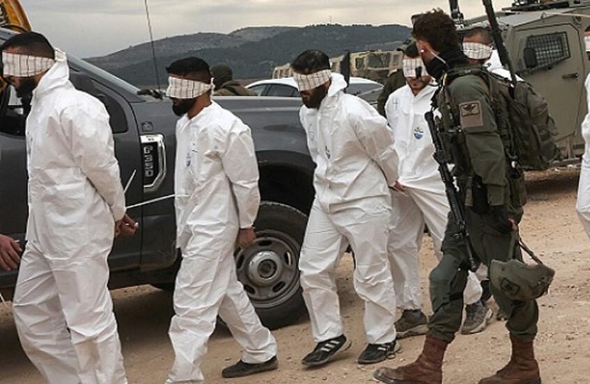 أليس إدواردز: تطبيق العقوبة قد يفاقم التعذيب ويقوّض العدالة ويهدد المساواة أمام القانون