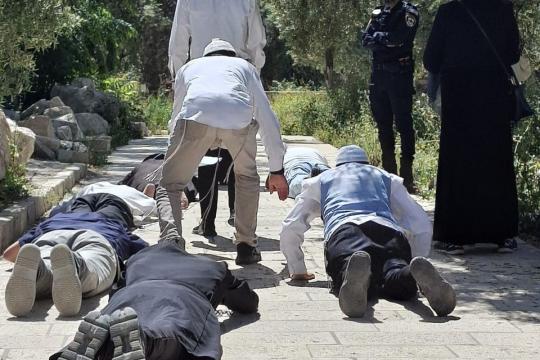 مستوطنون يقتحمون المسجد الأقصى بحماية شرطة الاحتلال الإسرائيلي