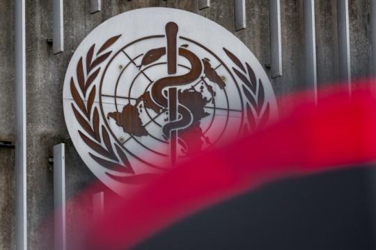 الصحة العالمية: خطر فيروس هانتا على البشر ما يزال منخفضا