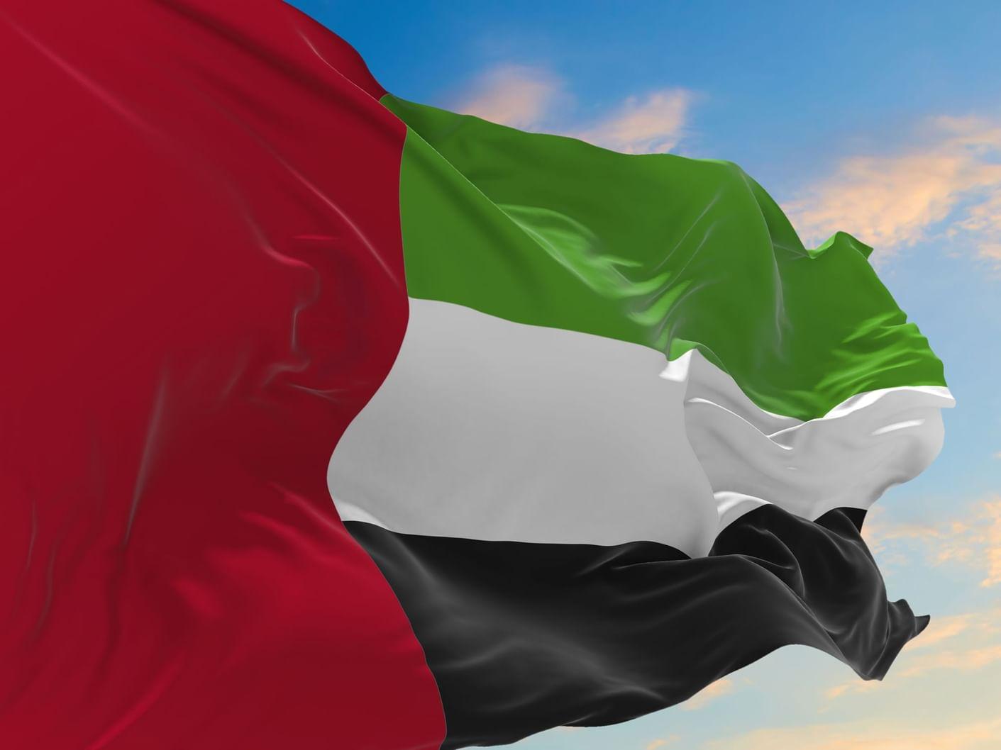 مساعدات إنسانية وشراكات دولية ومشروعات زراعية مبتكرة لدعم الفئات الأكثر احتياجاً