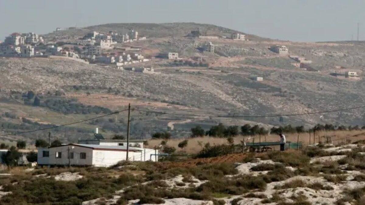 نابلس تتصدر المساحات المتأثرة وتقييد الوصول لأكثر من 25 ألف دونم في موسم الزيتون