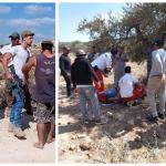 259 اعتداء على قاطفي الزيتون الفلسطينيين منذ بداية الموسم الحالي