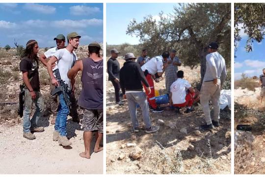 259 اعتداء على قاطفي الزيتون الفلسطينيين منذ بداية الموسم الحالي