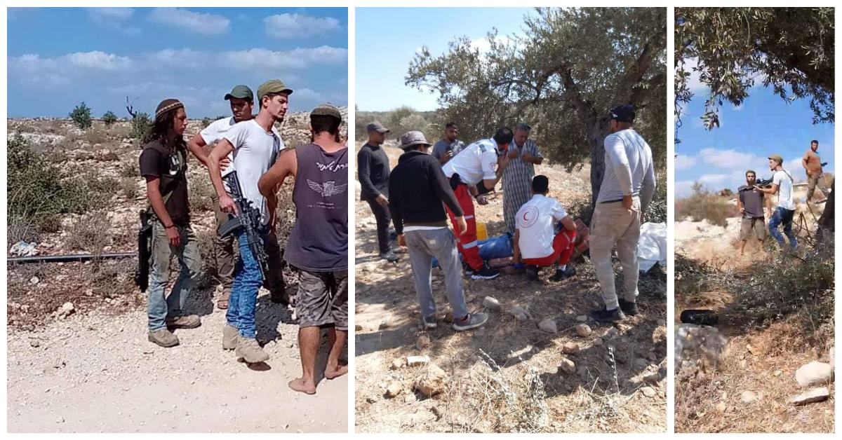 الجيش الإسرائيلي والمستوطنون يواصلون انتهاكاتهم ضد المزارعين، بما في ذلك اعتداءات جسدية وقطع الأشجار وتجريف الأراضي