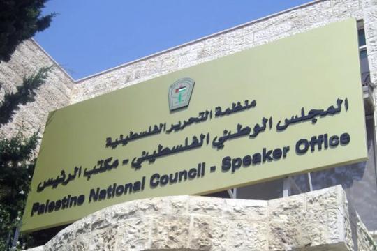 فتوح: بدء التحضيرات لاستكمال انتخاب أعضاء المجلس الوطني في دول الشتات