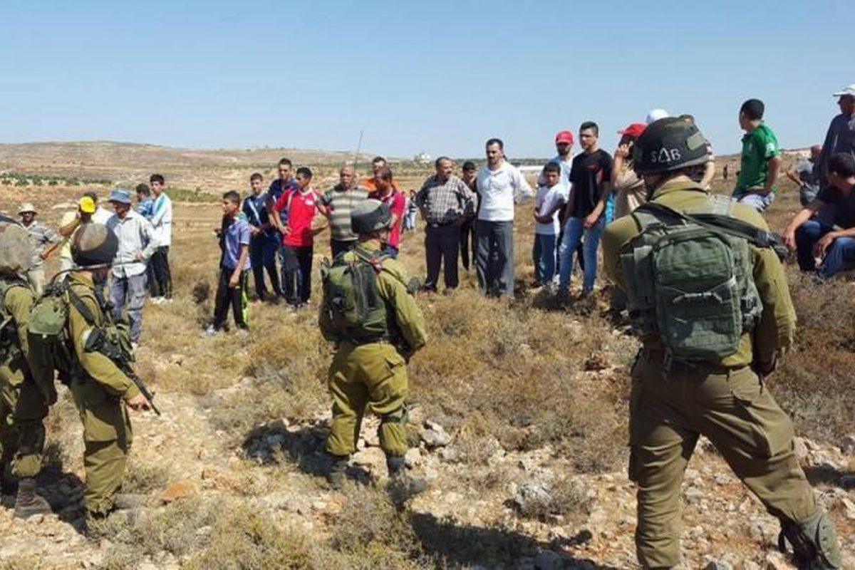 سلطات الاحتلال تمنع المزارعين من دخول نحو 300 دونم مزروعة بمحاصيل متنوعة خلف الجدار وسط مخاوف من خسائر زراعية كبيرة