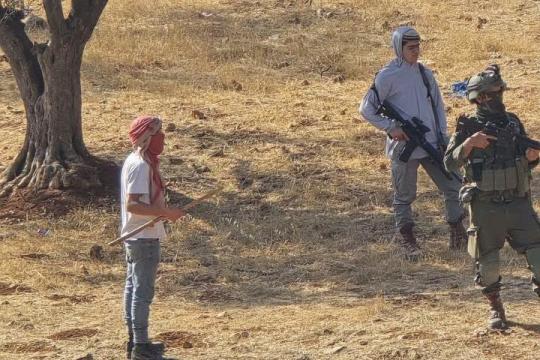 مستوطنون يرعون أغنامهم في أراضٍ زراعية بالمغير ويلحقون أضرارًا بالمحاصيل