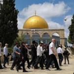 محافظة القدس تحذر من مخطط لتنفيذ أكبر اقتحام جماعي للمسجد الأقصى الخميس المقبل