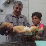 وفاة الطفل محمود الأقرع نتيجة البرد بغزة