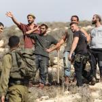 اعتداء مستوطنين في كيسان.. إصابة 4 مواطنين وسرقة 100 رأس غنم