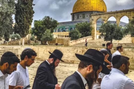 محافظة القدس تحذر من تصاعد تحريض جماعات "الهيكل" وإغلاق الأقصى لليوم العاشر