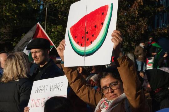 الاستخبارات الألمانية تصنّف رموزًا مؤيدة لفلسطين ضمن “التطرف” وتثير جدلًا واسعًا حول حرية التعبير