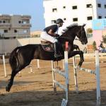 فلسطين تستعد لاستضافة أولى بطولاتها الدولية في قفز الحواجز