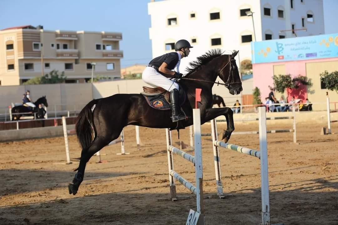 الاتحاد الفلسطيني للفروسية ينظم ثلاث بطولات دولية لقفز الحواجز في أريحا بمشاركة نخبة الفرسان