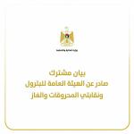 وزارة المالية تبحث مع نقابتي الوقود والغاز إجراءات لضمان استقرار إمدادات المحروقات