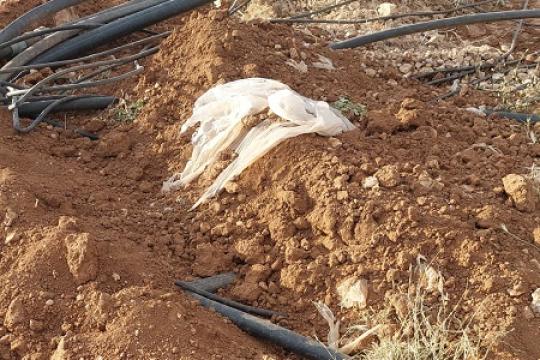 مستوطنون يتلفون خط مياه ويسرقون أجزاء منه شرق طمون في الأغوار الشمالية